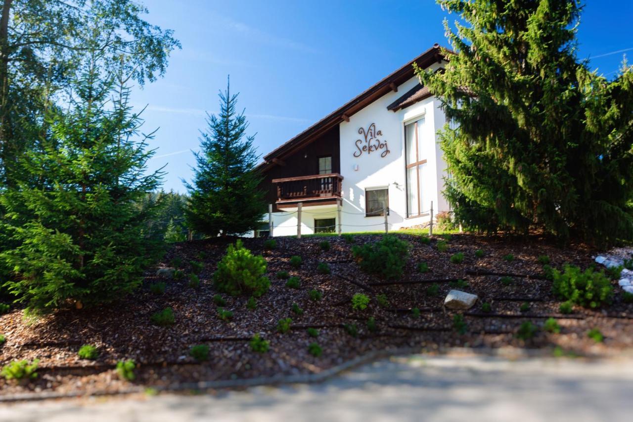 Vila Sekvoj Harrachov Kültér fotó